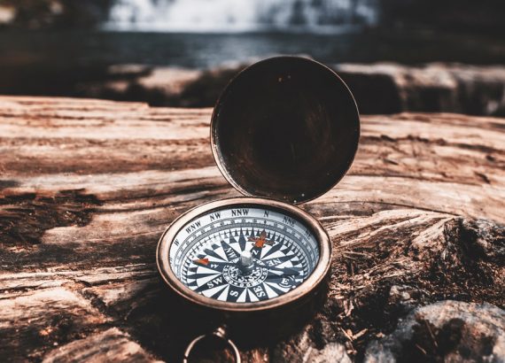 Das Bild zeigt einen aufgeklappten Kompass, der auf einem umgekippten Baumstamm liegt.