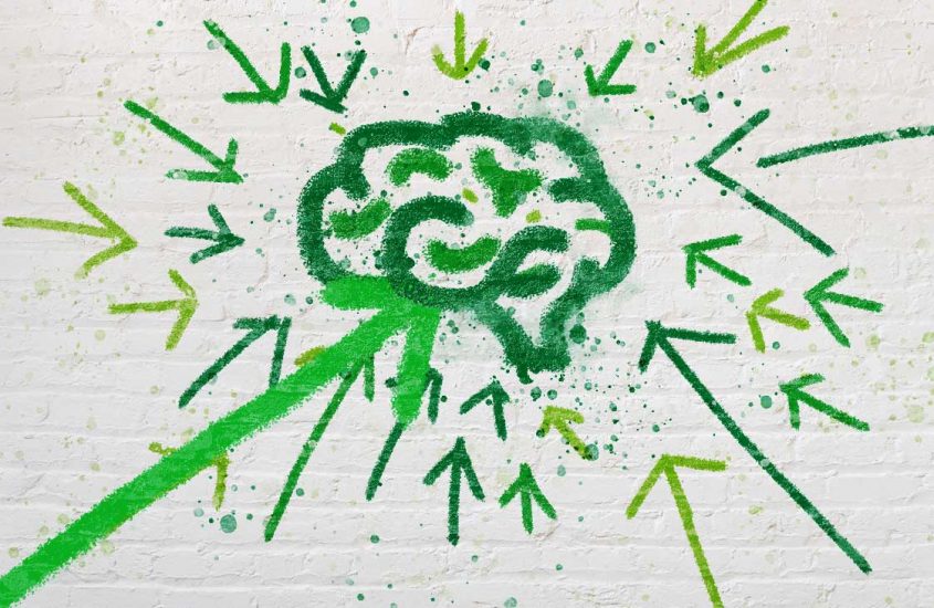 Wie starke Marken unser Gehirn beeinflussen